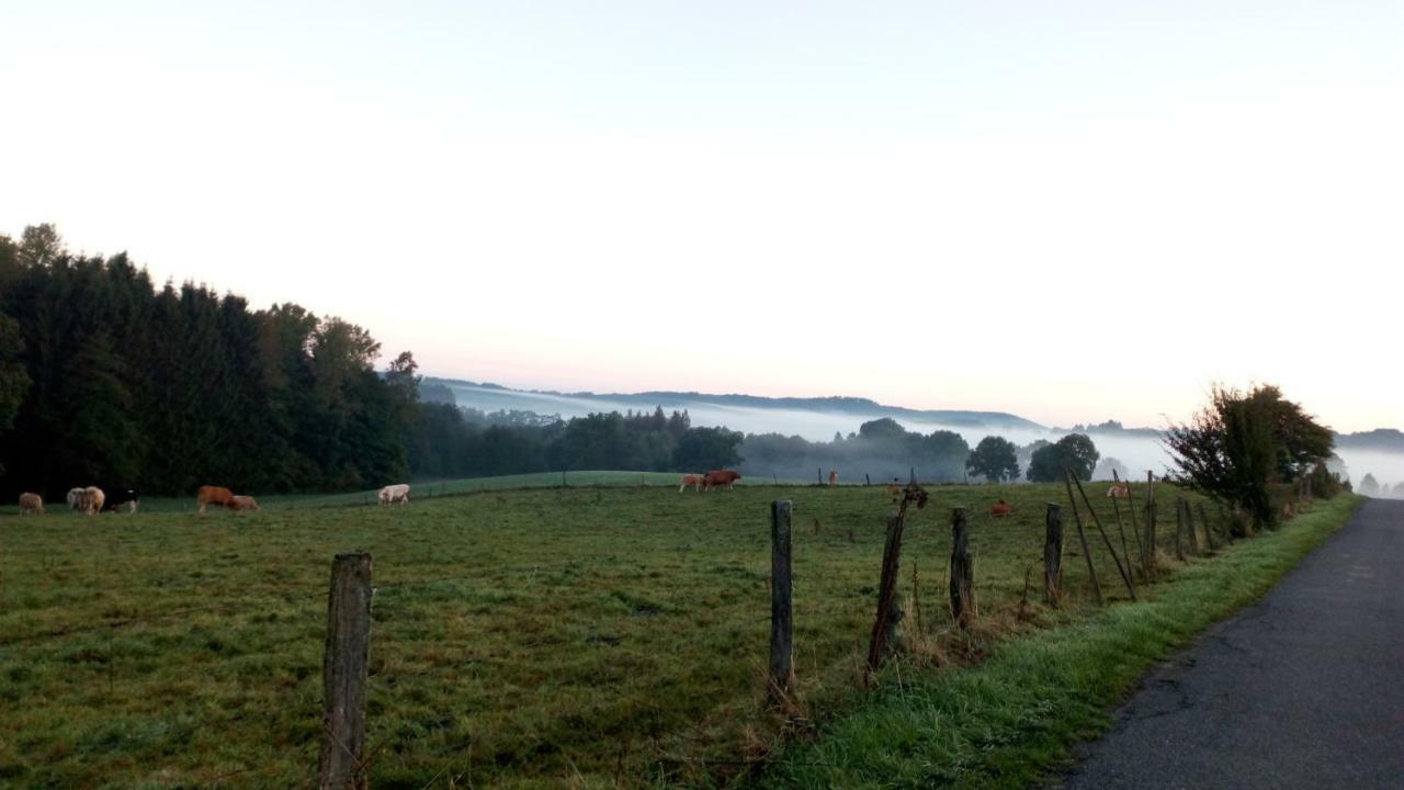 La Croisee Des Champs, Gite Entre Durbuy Et La Roche En Ardenne Érezée Exteriér fotografie
