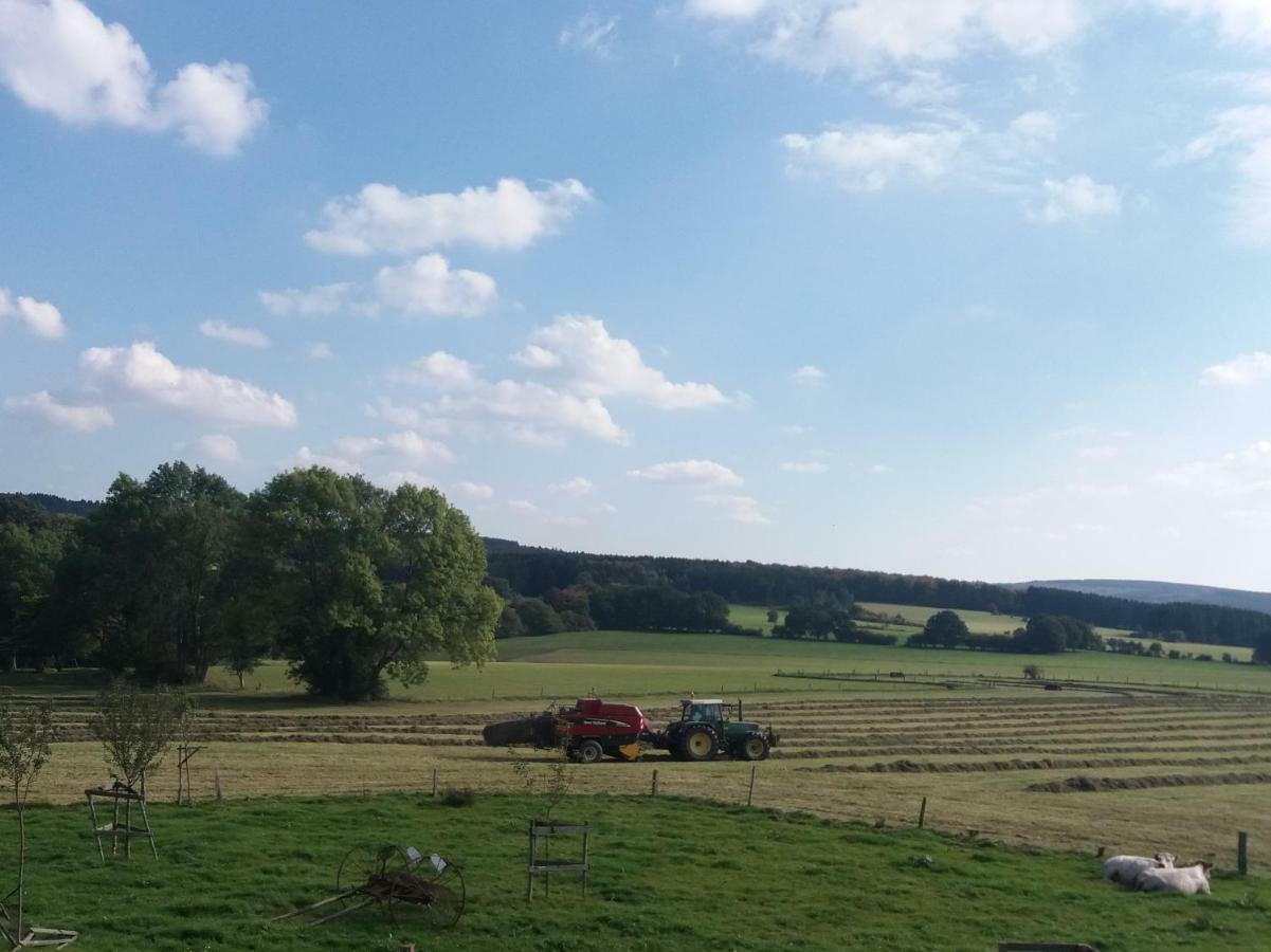 La Croisee Des Champs, Gite Entre Durbuy Et La Roche En Ardenne Érezée Exteriér fotografie